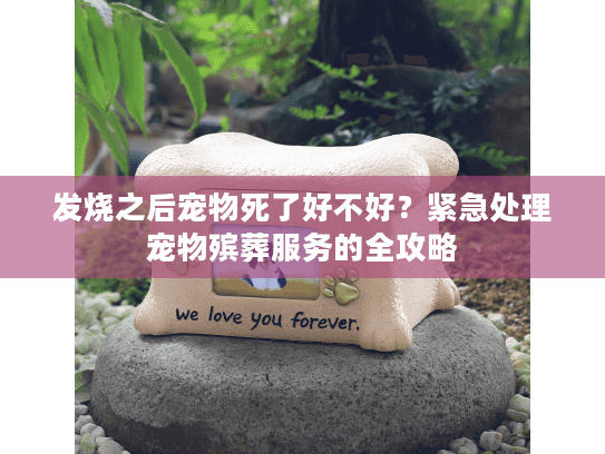 发烧之后宠物死了好不好？紧急处理宠物殡葬服务的全攻略