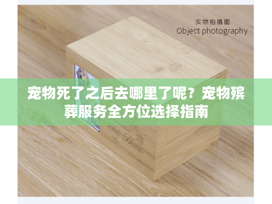 宠物死了之后去哪里了呢?宠物殡葬服务全方位选择指南 宠物死了之后去哪里了呢?宠物殡葬服务全方位选择指南