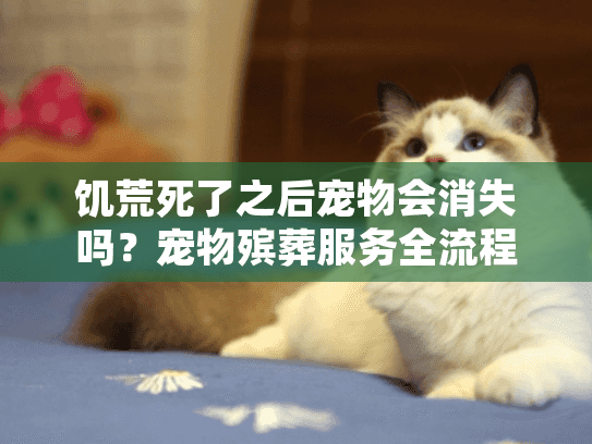 饥荒死了之后宠物会消失吗？宠物殡葬服务全流程指南