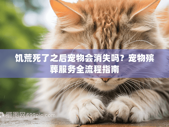 饥荒死了之后宠物会消失吗？宠物殡葬服务全流程指南