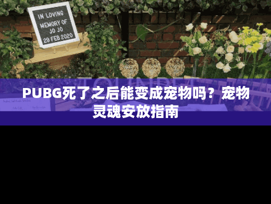 PUBG死了之后能变成宠物吗？宠物灵魂安放指南
