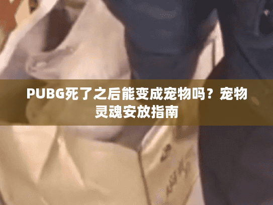 PUBG死了之后能变成宠物吗？宠物灵魂安放指南