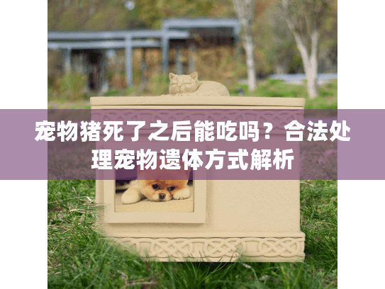 宠物猪死了之后能吃吗？合法处理宠物遗体方式解析