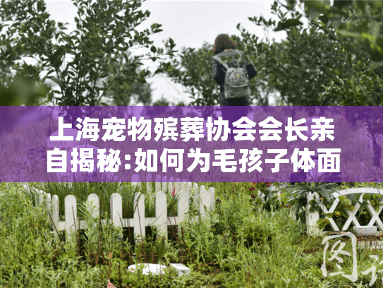 上海宠物殡葬协会会长亲自揭秘:如何为毛孩子体面送别?