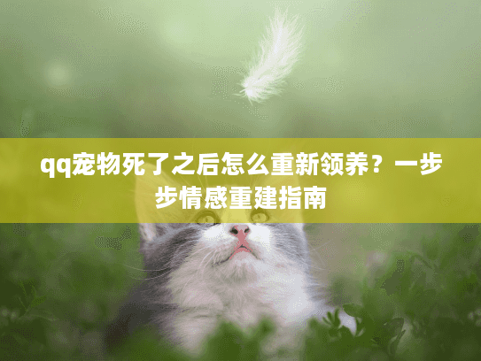 qq宠物死了之后怎么重新领养？一步步情感重建指南