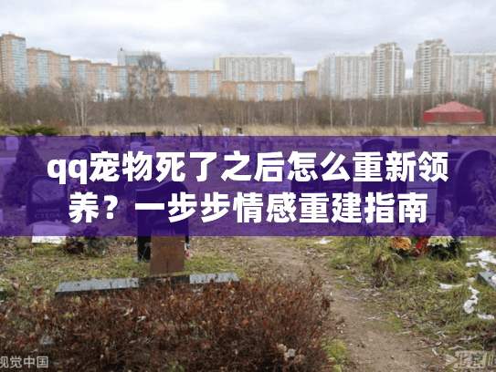 qq宠物死了之后怎么重新领养？一步步情感重建指南