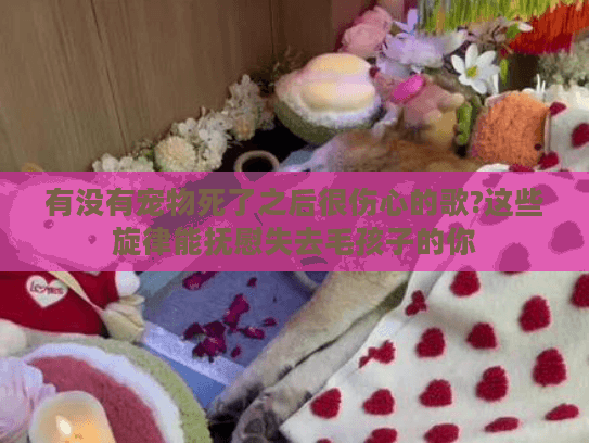 有没有宠物死了之后很伤心的歌?这些旋律能抚慰失去毛孩子的你
