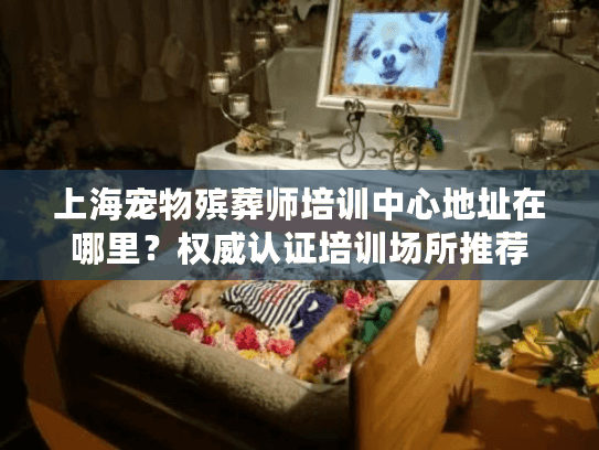 上海宠物殡葬师培训中心地址在哪里？权威认证培训场所推荐