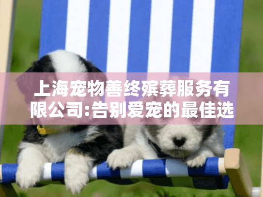 上海宠物善终殡葬服务有限公司:告别爱宠的最佳选择?
