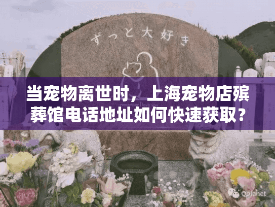 当宠物离世时，上海宠物店殡葬馆电话地址如何快速获取？