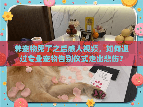 养宠物死了之后感人视频，如何通过专业宠物告别仪式走出悲伤？