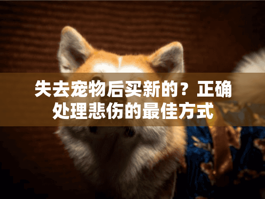 失去宠物后买新的？正确处理悲伤的最佳方式