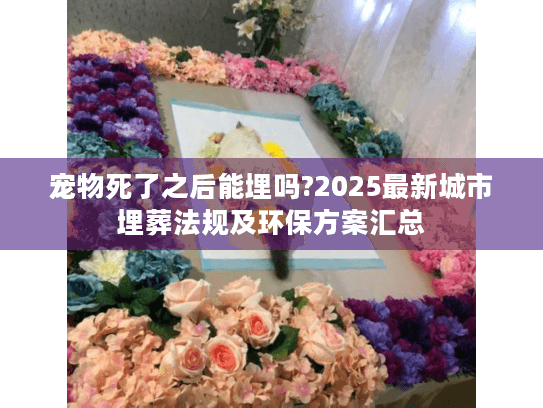 宠物死了之后能埋吗?2025最新城市埋葬法规及环保方案汇总