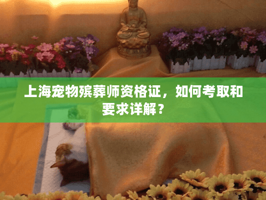 上海宠物殡葬师资格证，如何考取和要求详解？