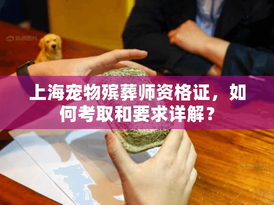 上海宠物殡葬师资格证，如何考取和要求详解？