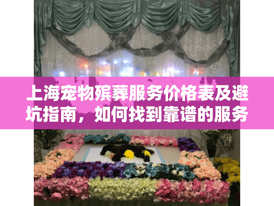 上海宠物殡葬服务价格表及避坑指南，如何找到靠谱的服务？
