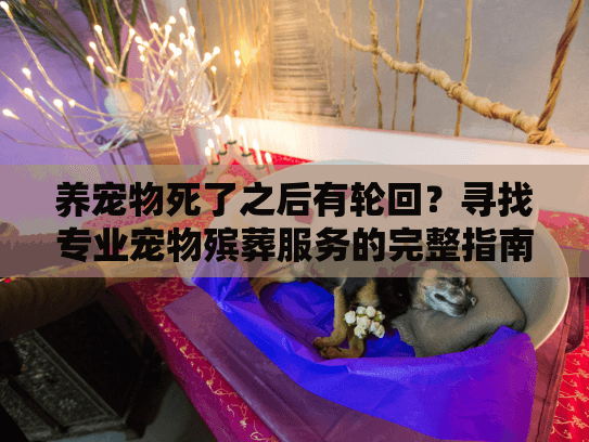 养宠物死了之后有轮回?寻找专业宠物殡葬服务的完整指南 养宠物死了之后有轮回?寻找专业宠物殡葬服务的完整指南