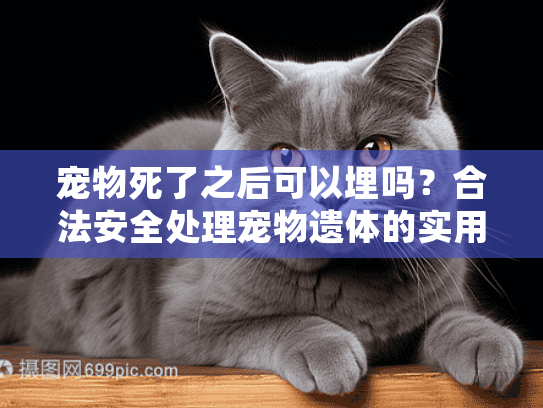 宠物死了之后可以埋吗？合法安全处理宠物遗体的实用指南