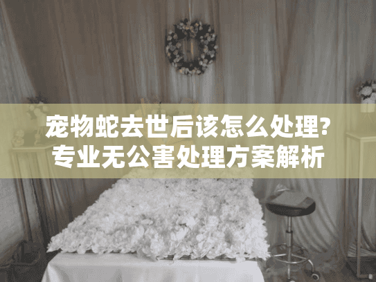 宠物蛇去世后该怎么处理?专业无公害处理方案解析