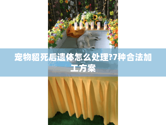 宠物貂死后遗体怎么处理?7种合法加工方案
