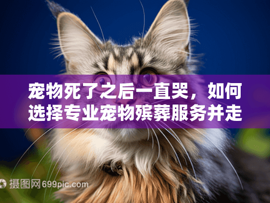 宠物死了之后一直哭，如何选择专业宠物殡葬服务并走出悲伤？