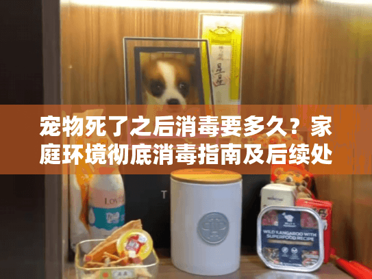 宠物死了之后消毒要多久？家庭环境彻底消毒指南及后续处理流程