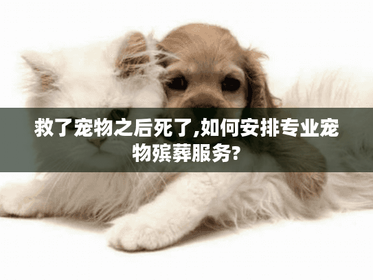救了宠物之后死了,如何安排专业宠物殡葬服务?