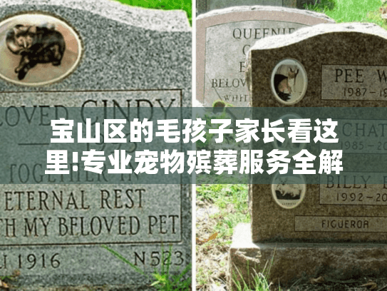 宝山区的毛孩子家长看这里!专业宠物殡葬服务全解答