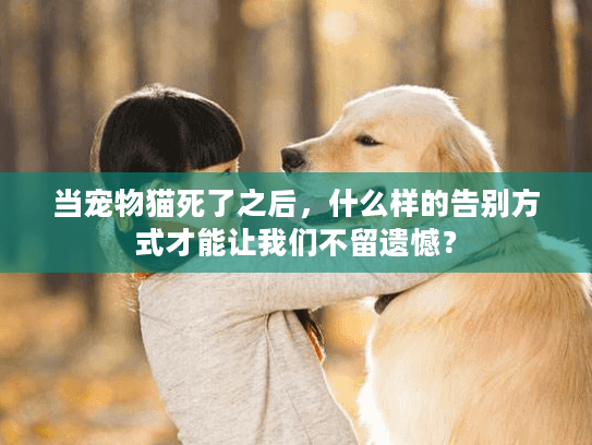当宠物猫死了之后，什么样的告别方式才能让我们不留遗憾？