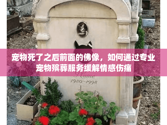 宠物死了之后前面的佛像，如何通过专业宠物殡葬服务缓解情感伤痛