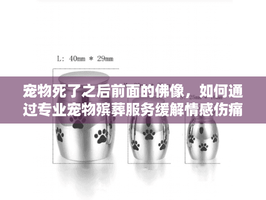 宠物死了之后前面的佛像，如何通过专业宠物殡葬服务缓解情感伤痛