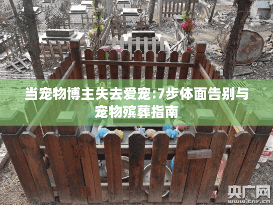 当宠物博主失去爱宠:7步体面告别与宠物殡葬指南