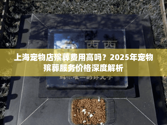 上海宠物店殡葬费用高吗？2025年宠物殡葬服务价格深度解析