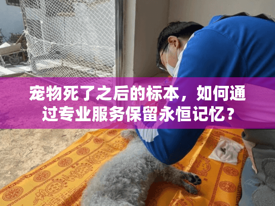 宠物死了之后的标本，如何通过专业服务保留永恒记忆？