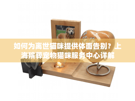 如何为离世猫咪提供体面告别？上海殡葬宠物猫咪服务中心详解
