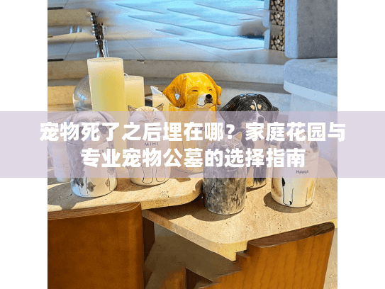 宠物死了之后埋在哪？家庭花园与专业宠物公墓的选择指南