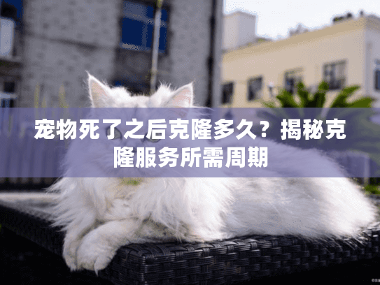 宠物死了之后克隆多久？揭秘克隆服务所需周期