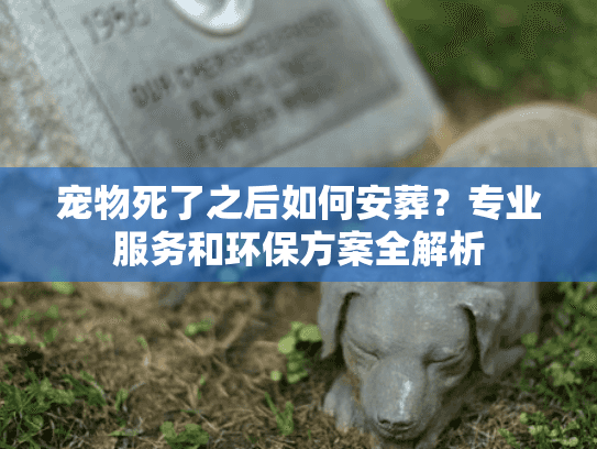 宠物死了之后如何安葬？专业服务和环保方案全解析