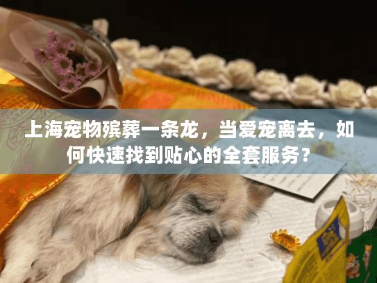 上海宠物殡葬一条龙，当爱宠离去，如何快速找到贴心的全套服务？