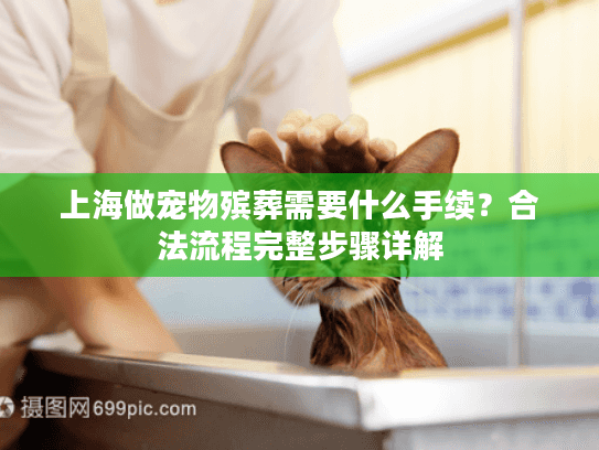 上海做宠物殡葬需要什么手续？合法流程完整步骤详解