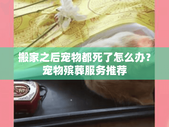搬家之后宠物都死了怎么办？宠物殡葬服务推荐