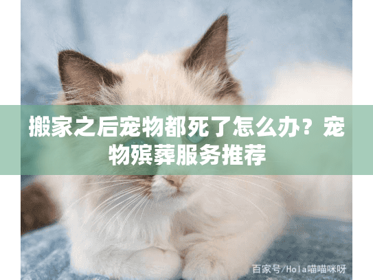 搬家之后宠物都死了怎么办？宠物殡葬服务推荐