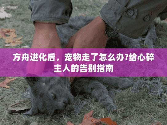 方舟进化后，宠物走了怎么办?给心碎主人的告别指南