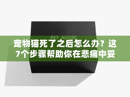 宠物猫死了之后怎么办？这7个步骤帮助你在悲痛中妥善送别爱宠