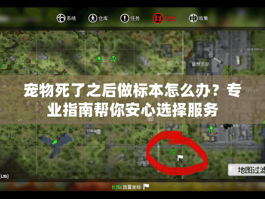 宠物死了之后做标本怎么办？专业指南帮你安心选择服务