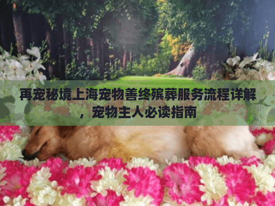 再宠秘境上海宠物善终殡葬服务流程详解，宠物主人必读指南