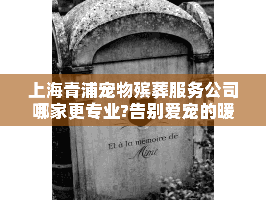 上海青浦宠物殡葬服务公司哪家更专业?告别爱宠的暖心选择