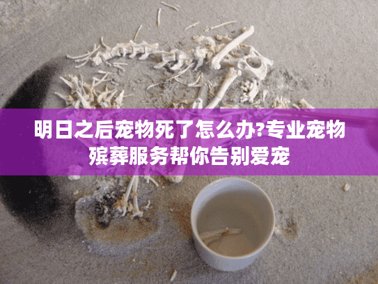 明日之后宠物死了怎么办?专业宠物殡葬服务帮你告别爱宠
