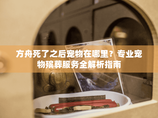 方舟死了之后宠物在哪里?专业宠物殡葬服务全解析指南 方舟死了之后宠物在哪里?专业宠物殡葬服务全解析指南