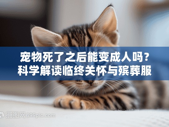 宠物死了之后能变成人吗？科学解读临终关怀与殡葬服务选择